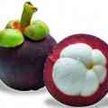 Health Benefits of Mangosteen